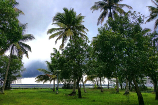 Best Villa Near Kumarakom Keralam